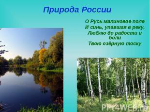 Природа России О Русь малиновое поле И синь, упавшая в реку, Люблю до радости и