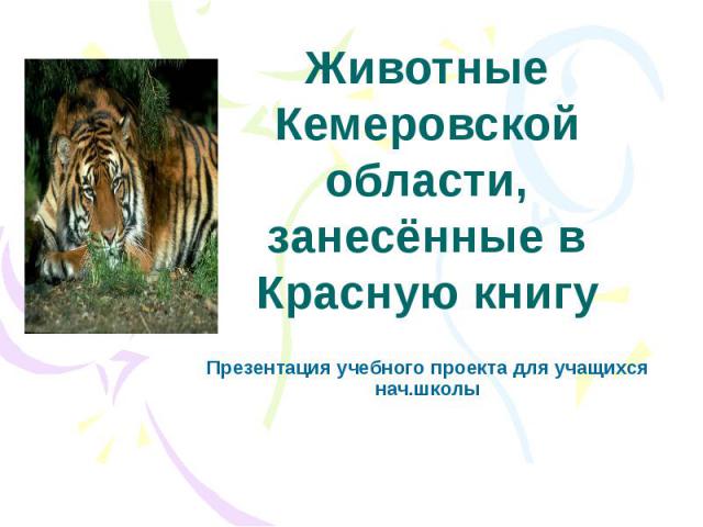 Животные Кемеровской области, занесённые в Красную книгу Презентация учебного проекта для учащихся нач.школы