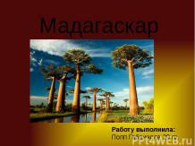Мадагаскар (11 класс)