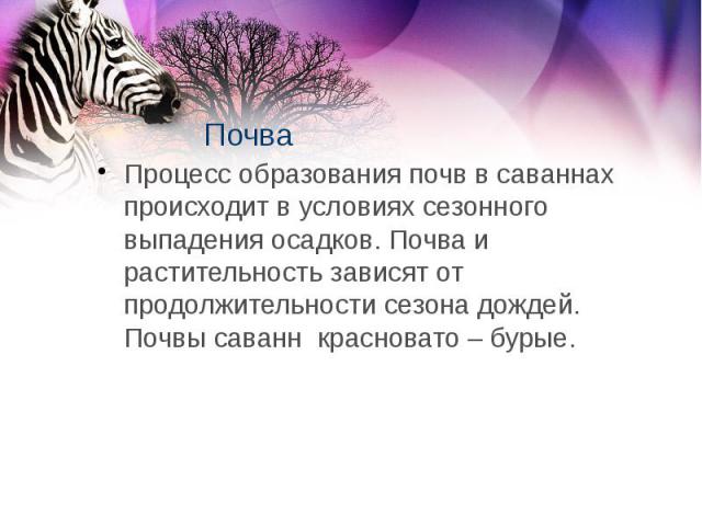 Почва Процесс образования почв в саваннах происходит в условиях сезонного выпадения осадков. Почва и растительность зависят от продолжительности сезона дождей. Почвы саванн красновато – бурые.