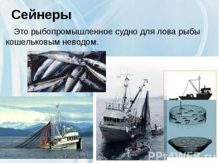Сейнеры Это рыбопромышленное судно для лова рыбы кошельковым неводом.&nbsp;