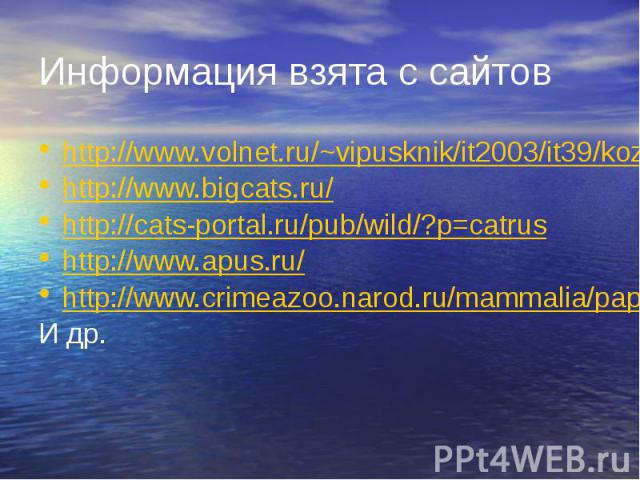 Информация взята с сайтов http://www.volnet.ru/~vipusknik/it2003/it39/kozlova/index.htm http://www.bigcats.ru/ http://cats-portal.ru/pub/wild/?p=catrus http://www.apus.ru/ http://www.crimeazoo.narod.ru/mammalia/papka2/felidae/index.htm И др.