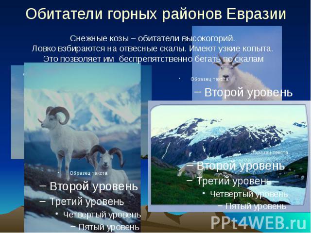 Обитатели горных районов Евразии