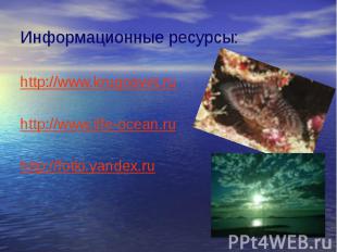 Информационные ресурсы: http://www.krugosvet.ru http://www.life-ocean.ru http://