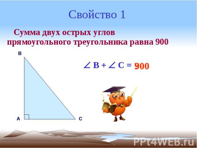 Свойство 1 Сумма двух острых углов прямоугольного треугольника равна 900