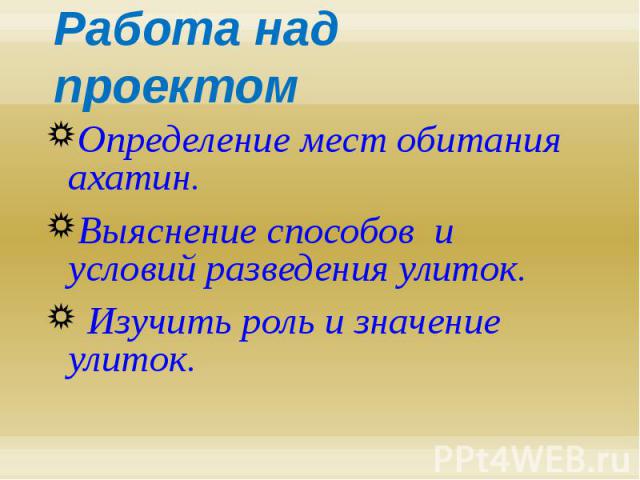 Работа над проектом Определение мест обитания ахатин. Выяснение способов и условий разведения улиток. Изучить роль и значение улиток.