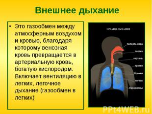 Это газообмен между атмосферным воздухом и кровью, благодаря которому венозная к