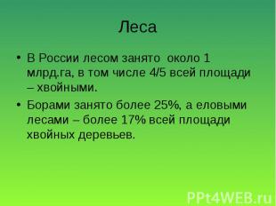 В России лесом занято около 1 млрд.га, в том числе 4/5 всей площади – хвойными.