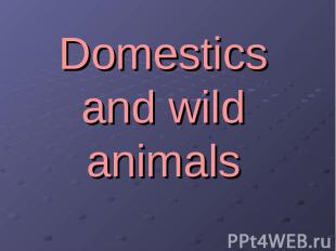 Domestics and wild animals
