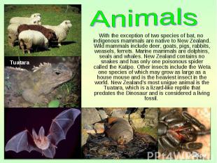With the exception of two species of bat, no indigenous mammals are native to Ne