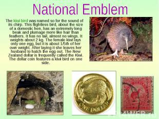 The kiwi bird was named so for the sound of its chirp. This flightless bird, abo