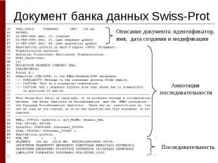 Документ банка данных Swiss-Prot