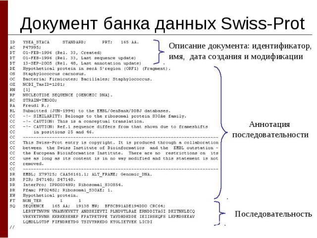 Документ банка данных Swiss-Prot