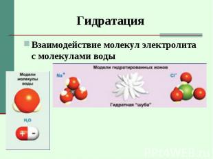 Взаимодействие молекул электролита с молекулами воды Взаимодействие молекул элек