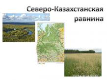 «Северо-Казахстанская равнина»