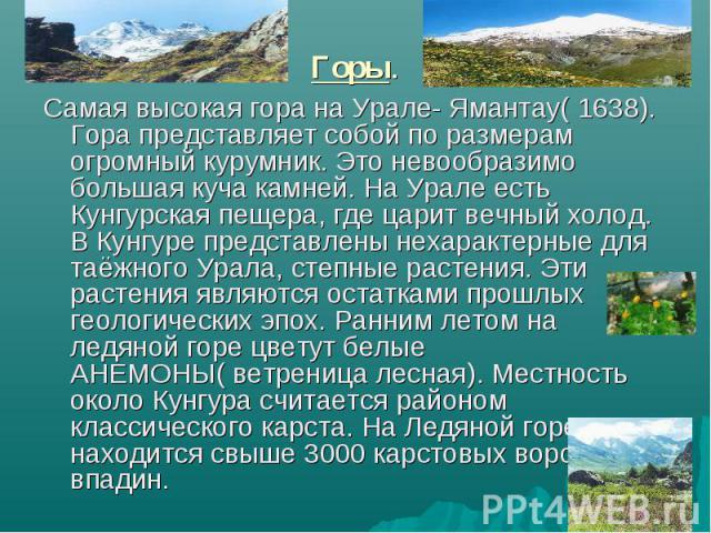 Самая высокая гора на Урале- Ямантау( 1638). Гора представляет собой по размерам огромный курумник. Это невообразимо большая куча камней. На Урале есть Кунгурская пещера, где царит вечный холод. В Кунгуре представлены нехарактерные для таёжного Урал…