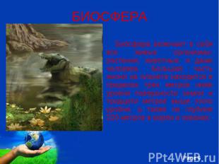 БИОСФЕРА Биосфера включает в себя все живые организмы: растения, животные, и даж
