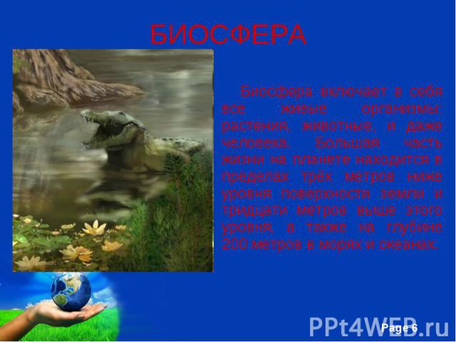 БИОСФЕРА Биосфера включает в себя все живые организмы: растения, животные, и даже человека. Большая часть жизни на планете находится в пределах трёх метров ниже уровня поверхности земли и тридцати метров выше этого уровня, а также на глубине 200 мет…