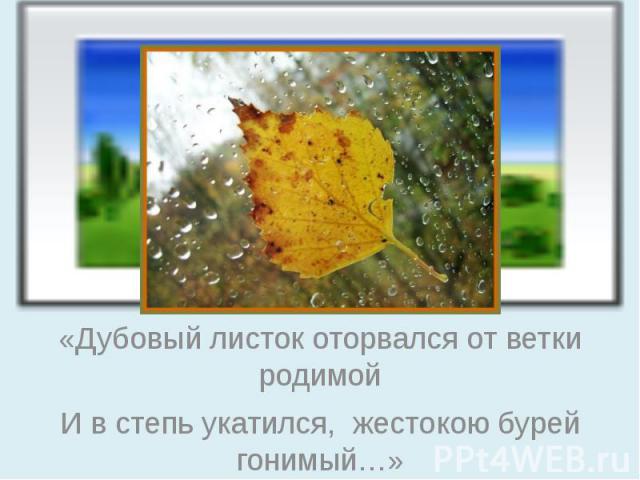 «Дубовый листок оторвался от ветки родимой И в степь укатился, жестокою бурей гонимый…»