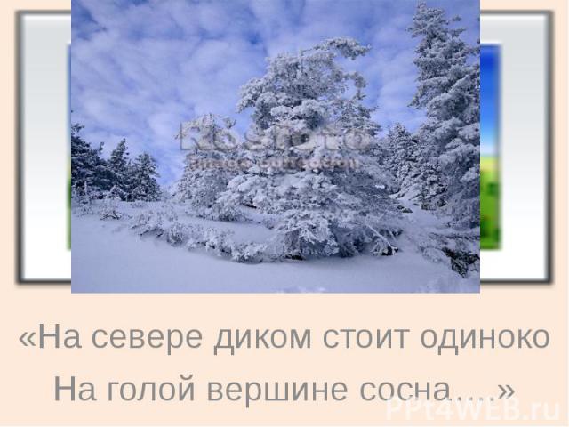 «На севере диком стоит одиноко На голой вершине сосна….»