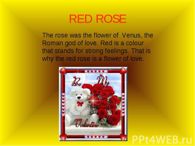 The rose was the flower of Venus, the Roman god of love. Red is a colour that stands for strong feelings. That is why the red rose is a flower of love. The rose was the flower of Venus, the Roman god of love. Red is a colour that stands for strong f…