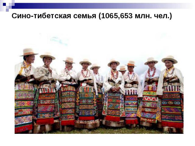 Сино-тибетская семья (1065,653 млн. чел.)