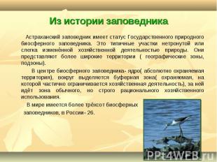 Астраханский заповедник имеет статус Государственного природного биосферного зап