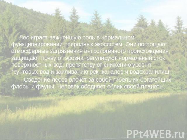 Лес играет важнейшую роль в нормальном функционировании природных экосистем. Они поглощают атмосферные загрязнения антропогенного происхождения, защищают почву от эрозии, регулируют нормальный сток поверхностных вод, препятствуют снижению уровня гру…