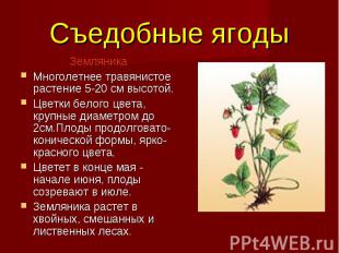 Земляника Земляника Многолетнее травянистое растение 5-20 см высотой. Цветки бел