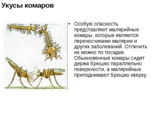 Особую опасность представляют малярийные комары, которые являются переносчиками