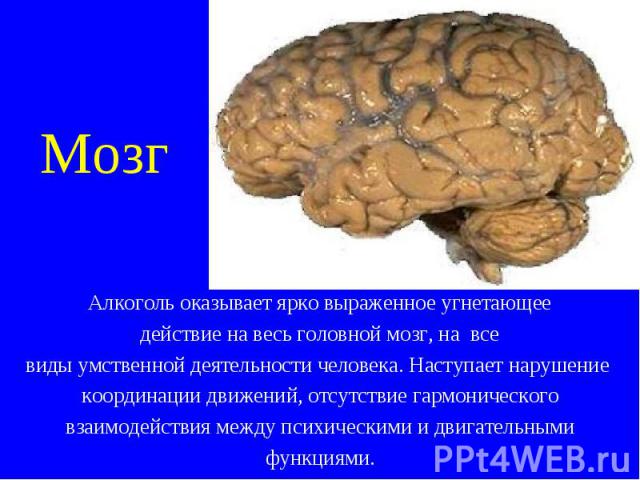 Мозг Алкоголь оказывает ярко выраженное угнетающее действие на весь головной мозг, на все виды умственной деятельности человека. Наступает нарушение координации движений, отсутствие гармонического взаимодействия между психическими и двигательными фу…