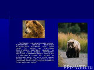 Как правило, в народном сознании медведь - величественное животное, занимающее и