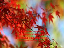 Бродский, картина «Летний сад осенью» – сочинение-письмо