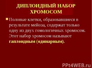 Половые клетки, образовавшиеся в результате мейоза, содержат только одну из двух