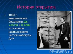 История открытия. 1953 г. американские биохимики Дж. Уотсон и Ф.Крик установили