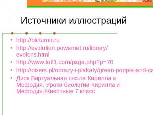 Источники иллюстраций http://bioturnir.ru http://evolution.powernet.ru/library/e