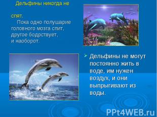 Дельфины не могут постоянно жить в воде, им нужен воздух, и они выпрыгивают из в