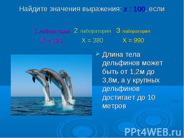 Длина тела дельфинов может быть от 1,2м до 3,8м, а у крупных дельфинов достигает до 10 метров Длина тела дельфинов может быть от 1,2м до 3,8м, а у крупных дельфинов достигает до 10 метров