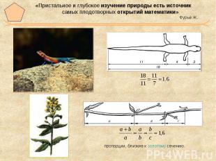 «Пристальное и глубокое изучение природы есть источник самых плодотворных открыт