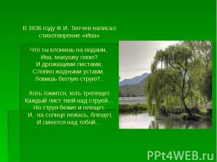 В 1836 году Ф.И. Тютчев написал стихотворение «Ива» Что ты клонишь на водами, Ив