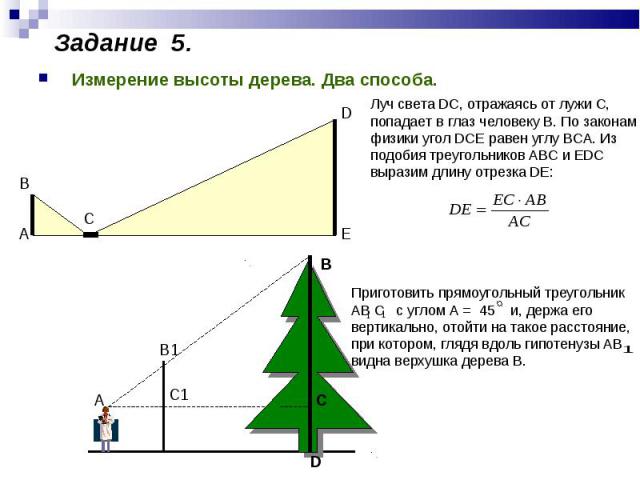 Измерение высоты дерева. Два способа.