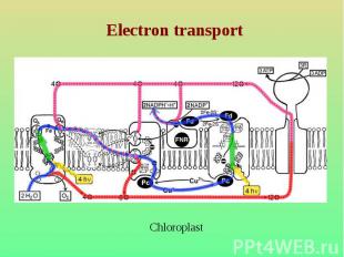 Electron transport