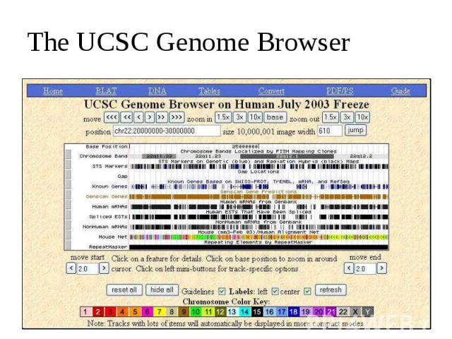 The UCSC Genome Browser