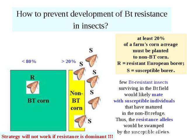 How to prevent development of Bt resistance in insects?