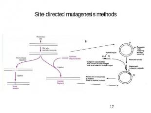Site-directed mutagenesis methods