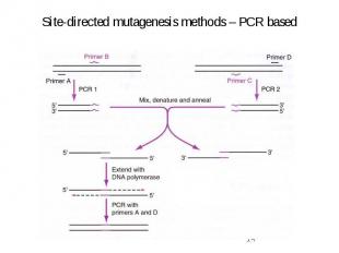 Site-directed mutagenesis methods – PCR based