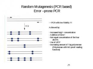 Random Mutagenesis (PCR based) Error –prone PCR