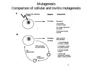 Mutagenesis Comparison of cellular and invitro mutagenesis