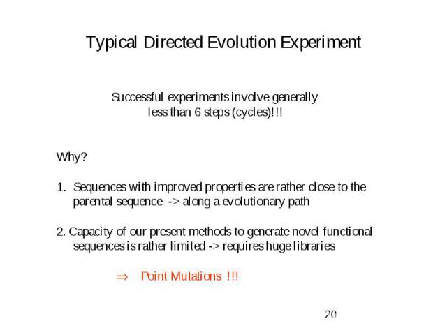 Typical Directed Evolution Experiment