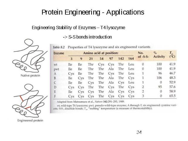 Protein Engineering - Applications